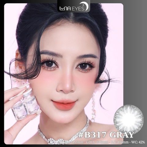 B317 GRAY - size vừa