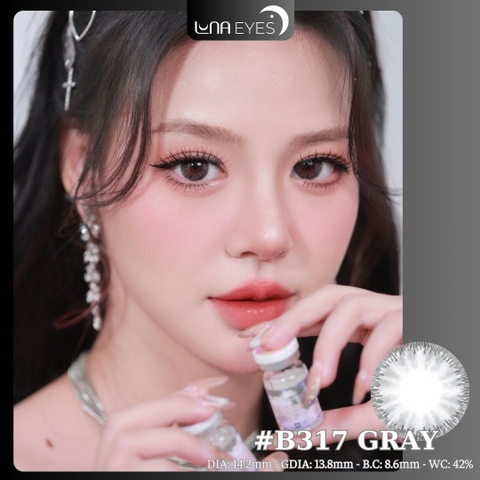 B317 GRAY - size vừa