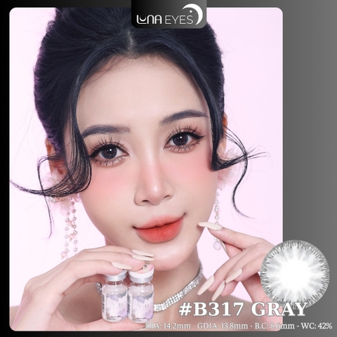 B317 GRAY - size vừa