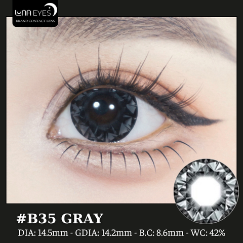 (quà tặng) B35 Gray - size to