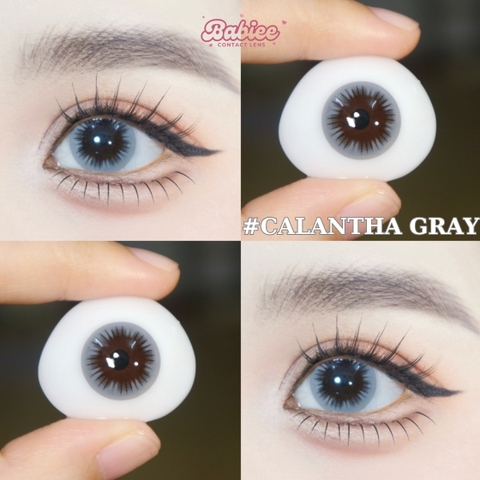 (Babiee) CALANTHA GRAY - size vừa