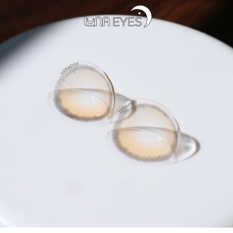 (quà tặng) FB-211 BROWN - size vừa