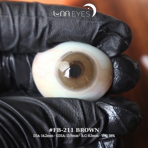 (quà tặng) FB-211 BROWN - size vừa