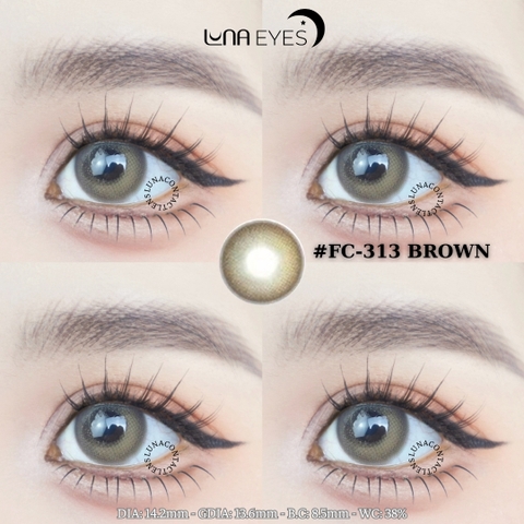(quà tặng) FC-313 BROWN - size vừa