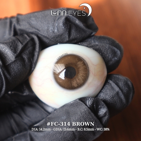(quà tặng) FC-314 BROWN - size vừa