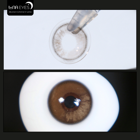 (quà tặng) FC-314 BROWN - size vừa