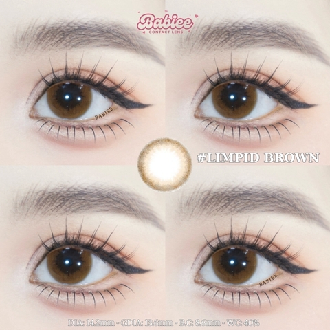 (Babiee) LIMPID BROWN - size vừa