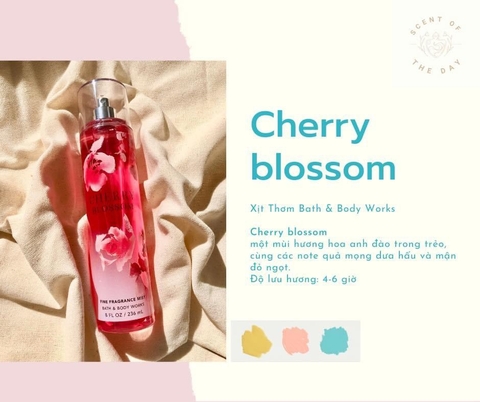 Xịt Thơm Nước Hoa Toàn Thân Bath & Body Works Fine Fragrance Mist 236ml nhiều mùi