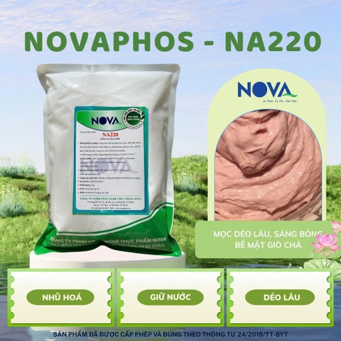 NA 220 - CHẤT TẠO DẺO