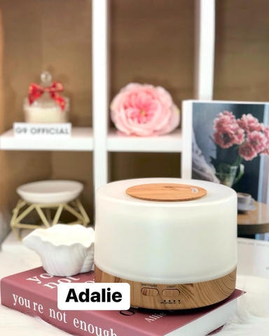 Máy Khuyếch Tán Tinh Dầu Kết Hợp Loa Bluetooth