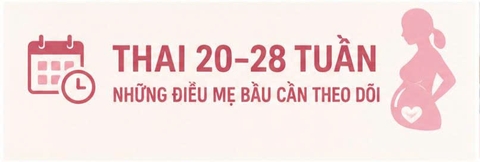 Thai 20–28 tuần: Những điều mẹ bầu cần theo dõi để thai kỳ phát triển khỏe mạnh