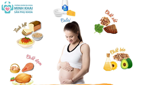 Những Thực Phẩm Tốt Cho Bà Bầu 3 Tháng Cuối Thai Kỳ