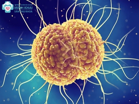 Bệnh lậu là gì? Nguyên nhân, dấu hiệu, cách điều trị bệnh lậu ở nam và nữ