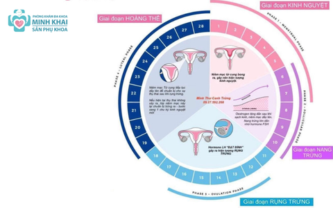 Các Biện Pháp Tránh Thai Sau Sinh Hiệu Quả Và An Toàn