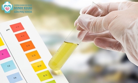 Chỉ Số Protein Trong Nước Tiểu Bà Bầu Nói Lên Điều Gì