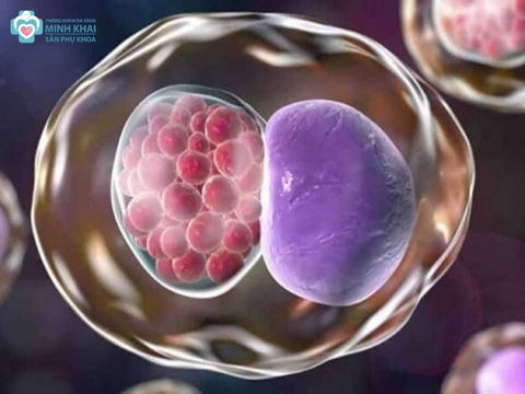 HIV có lây qua nước bọt không?