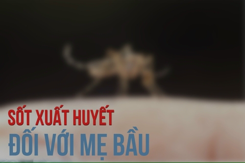 Sốt xuất huyết khi mang thai - NGUY HIỂM - CẦN ĐỀ PHÒNG