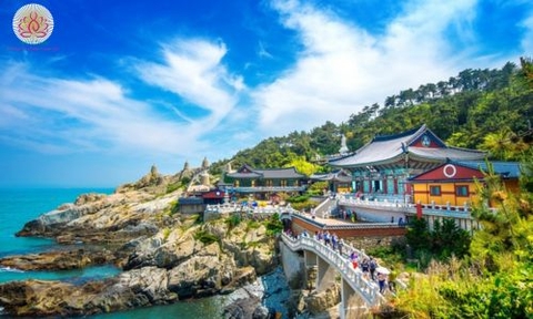 Chuyến Phiêu Lưu Hàn Quốc: Khám Phá Seoul và  Nami và những nơi nổi tiếng khác