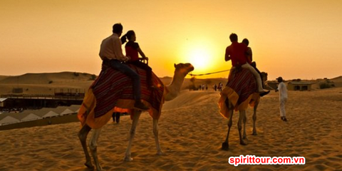 Sa mạc Safari – Desert Safari