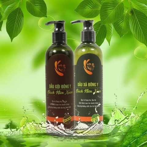 Bộ dầu gội xả đông y Bách Niên Xuân