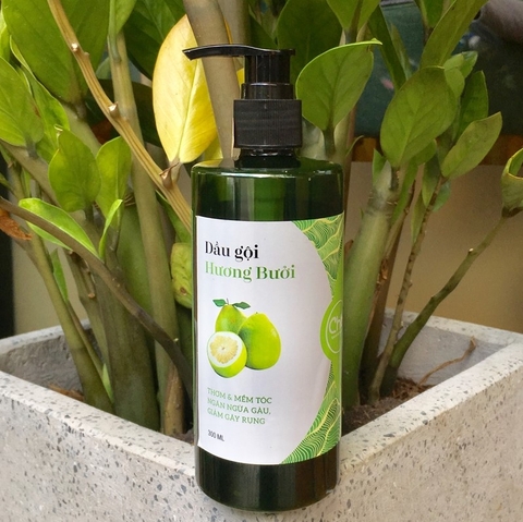 Dầu gội Hương bưởi CHAI