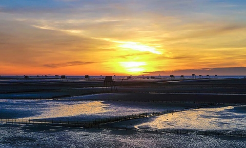 Tour Du Lịch Sinh Thái Biển Cồn Đen Thái Bình 1 Ngày Giá Rẻ