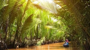 14 DAYS DISCOVERING AWESOME VIETNAM HANOI - HA LONG BAY – HUE – HOI AN – MEKONG DELTA