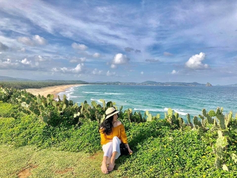 Tour Quy Nhơn – Phú Yên 1 ngày: Về mảnh đất “Hoa vàng cỏ xanh”