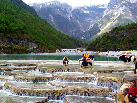 HÀ NỘI - CÔN MINH - ĐẠI LÝ - LỆ GIANG - SHANGRI LA 6N5D