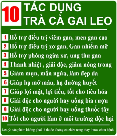 Cao Cà Gai Leo quảng trị cao cấp 100% nguyên chất (hộp 100gr)
