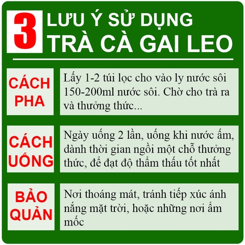Trà cà gai leo Tịnh Tâm cao cấp hộp 20 túi lọc