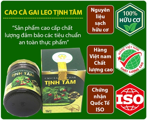 Cao Cà Gai Leo quảng trị cao cấp 100% nguyên chất (hộp 100gr)