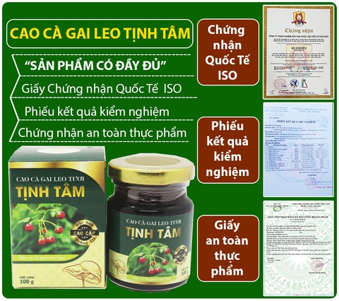 Cao Cà Gai Leo quảng trị cao cấp 100% nguyên chất (hộp 100gr)