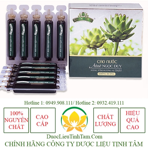 Cao Nước Atiso Không Đường cao cấp 1 hộp 10 ống