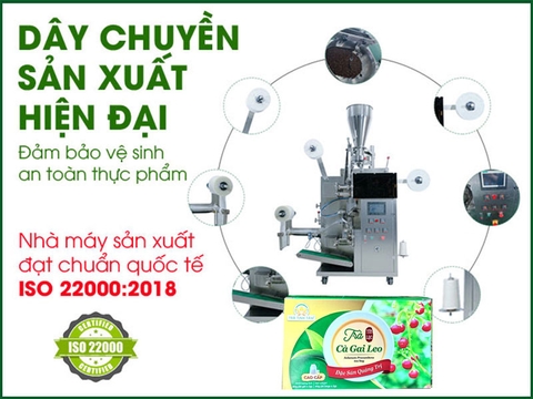 Trà cà gai leo Tịnh Tâm cao cấp hộp 20 túi lọc