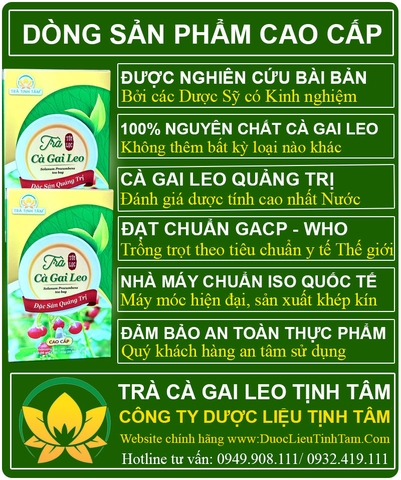 Trà cà gai leo Tịnh Tâm cao cấp hộp 20 túi lọc
