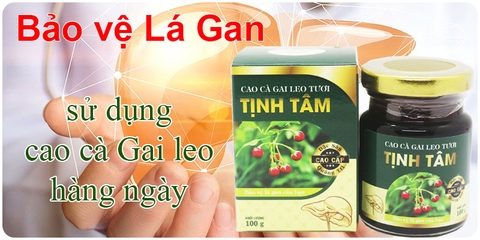 Cao Cà Gai Leo quảng trị cao cấp 100% nguyên chất (hộp 100gr)