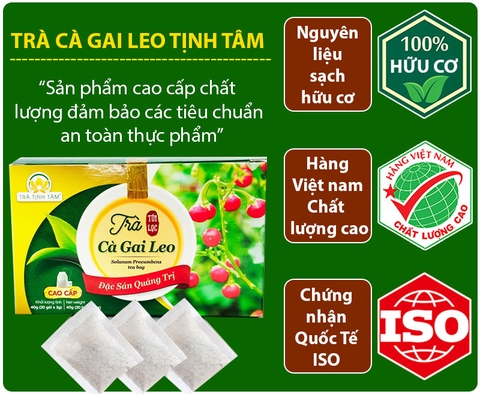 Trà cà gai leo Tịnh Tâm cao cấp hộp 20 túi lọc