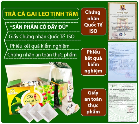 Trà cà gai leo Tịnh Tâm cao cấp hộp 20 túi lọc