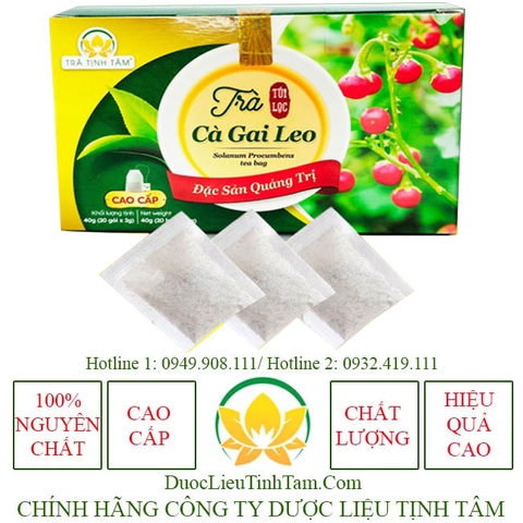 Trà cà gai leo Tịnh Tâm cao cấp hộp 20 túi lọc