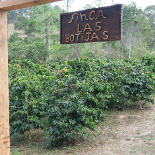 HONDURAS LAS BOTIJAS ALBEL JIRON