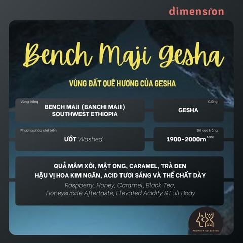 ETHIOPIA BENCH MAJI (BANCHI MAJI) GESHA G1