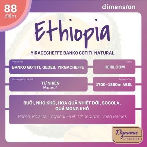 ETHIOPIA BANKO GOTITI G1 NATURAL