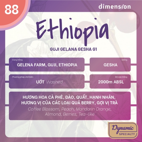 ETHIOPIA GUJI GELANA GESHA G1