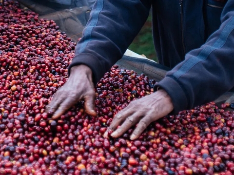 ETHIOPIA KONGA NATURAL G1