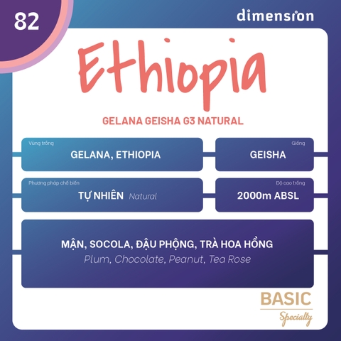 ETHIOPIA GELANA GEISHA G3 NATURAL