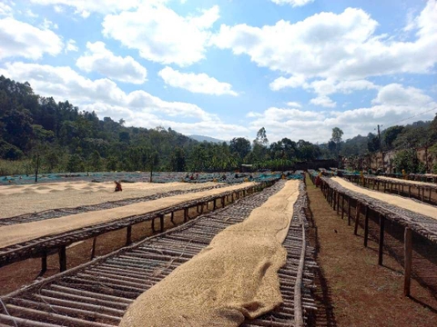 ETHIOPIA KONGA NATURAL G1