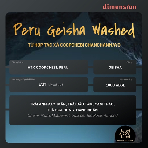 PERU WASHED - COOPICHEBI CHANCHANMAYO GEISHA