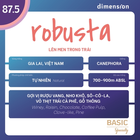 ROBUSTA 87,5 NATURAL INTRA-FRUIT FERMENTATION