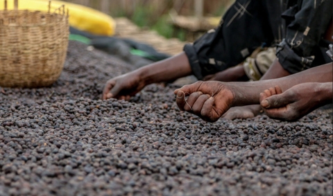 ETHIOPIA KONGA NATURAL G1